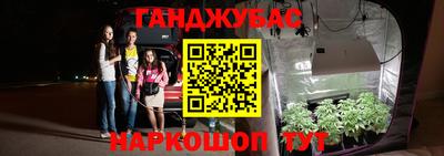 тгк Краснодар