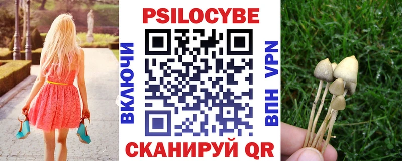 купить наркотик  Тавда  Галлюциногенные грибы MAGIC MUSHROOMS 