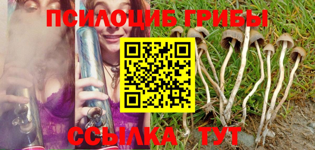 Псилоцибиновые грибы мухоморы Тавда