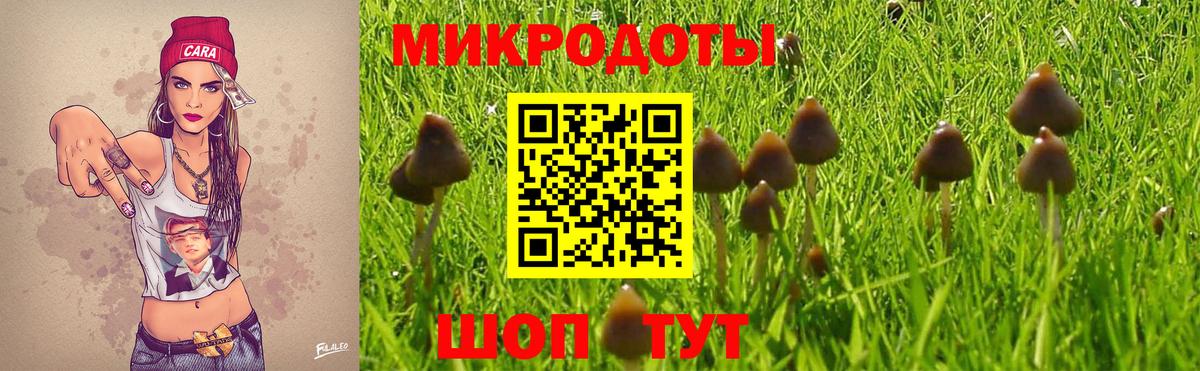 Псилоцибиновые грибы GOLDEN TEACHER  Вход с VPN  как найти наркотики  Тавда 