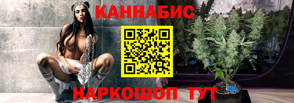 Тавда  Шишки марихуана Ganja  Вход с VPN  Бошки Шишки планчик  Канабис OG Kush 